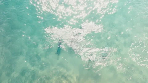 Dolphin Pod Jumping Beneath Shimmering Ocean Surface, Byron Bay Stock Footage 327440332