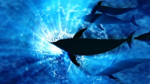 Dolphin Pod Swims Through Radiating Sunlight Stock Footage