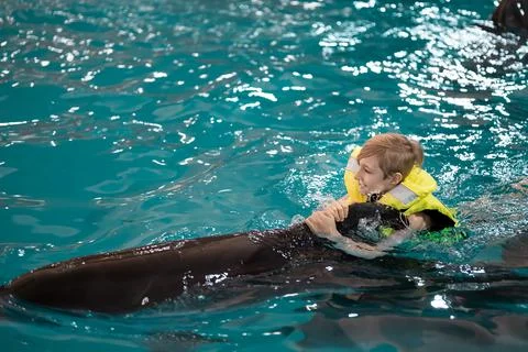 Dolphin in the pool Stock Photos