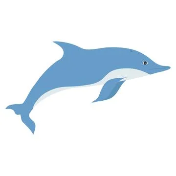 Dolphin, realistic dolphin icon isolated on white background. Vector イラスト素材