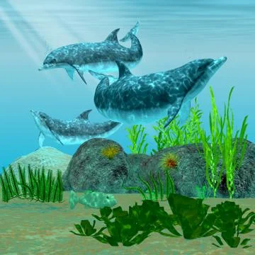 Dolphin reef Stock Illustration