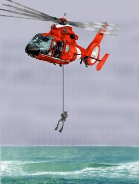 DOLPHIN RESCUE Illustrazione stock