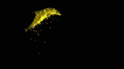 Dolphin RGB Alpha Stock Footage 234117857