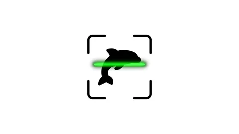 Dolphin scanning animation with a green light bar, animal identification wi.. 動画素材 346499034