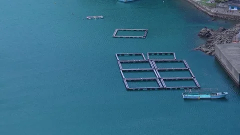 Dolphin Sea Cages, Net Enclosures in Open Ocean at Taiji, Wakayama Japan 動画素材 345200869