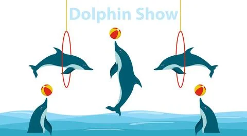 Dolphin show, dolphins jump over the ring and throw the ball. Ilustração Stock