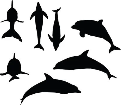 Dolphin silhouette Stock Illustration