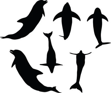 Dolphin silhouette Stock Illustration