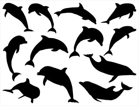 DOLPHIN SILHOUETTE VECTOR ART Stock Illustration