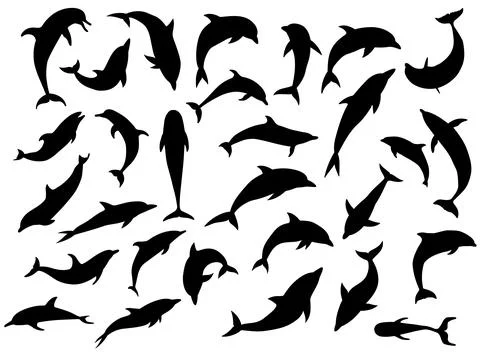 Dolphin Silhouettes Stock Illustration