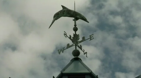 Dolphin sky clouds 2 Stock Footage 160382