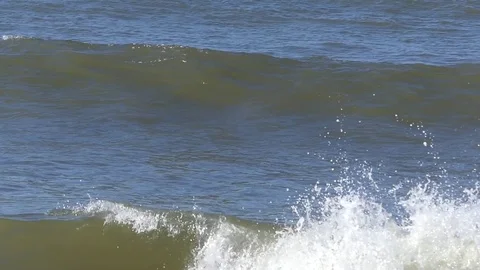Dolphin slo-mo through breaking wave after fish at shoreline Stock Footage 70026287