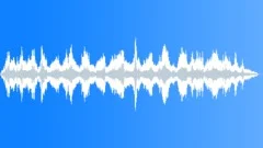 DOLPHIN Sound Effect