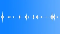 DOLPHINSound Effect