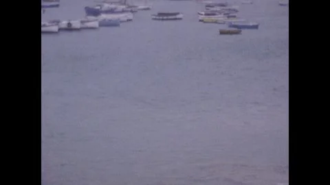 Dolphin in St Ives Harbour Stock Footage 252693589
