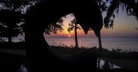 Dolphin Statue Fly Through Aerial Drone Timelapse Stock Footage 82321546