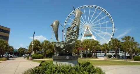 Dolphin Statue, Sculpture at Myrtle Beach, South Carolina Stock Footage 142029388