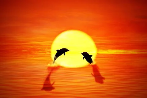 Dolphin sunset 스톡 일러스트