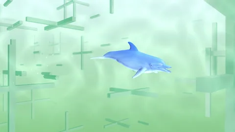 Dolphin swimming in digital space C4g Stock Footage 198270169