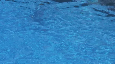A dolphin swimming gracefully just below the blue water surface. Vídeos de archivo 337218994
