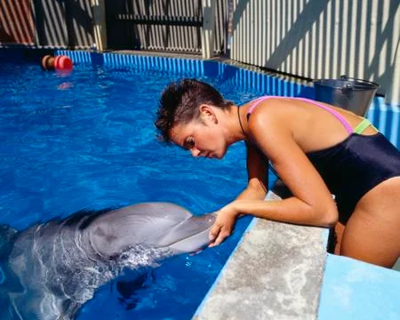 Dolphin training at Six Flags Magic Mountain, Valencia, California Stock Photos
