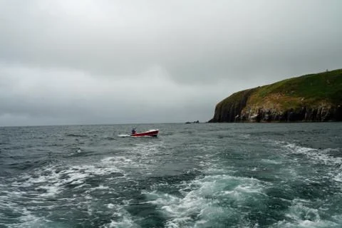 Dolphin Trip in Dingle Bay and Coast Stock Photos