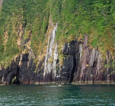 Dolphin Trip in Dingle Bay and Coast Stock Photos