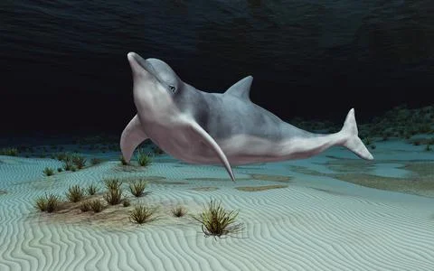 Dolphin in an underwater landscape Stock Illustration