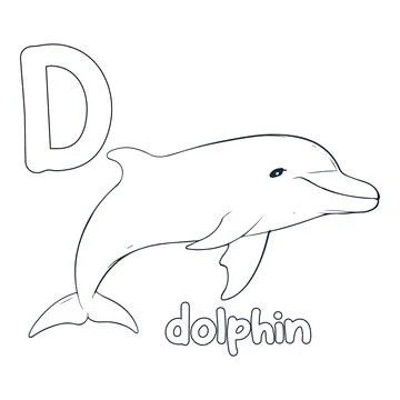 Dolphin vector illustration Black and white dolphin alphabet coloring book .. Stock Illustration