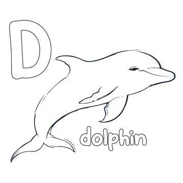 Dolphin vector illustration Black and white dolphin alphabet coloring book .. Stock Illustration