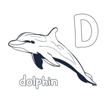Dolphin vector illustration Black and white dolphin alphabet coloring book .. Stock Illustration