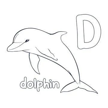 Dolphin vector illustration Black and white dolphin alphabet coloring book .. Stock Illustration