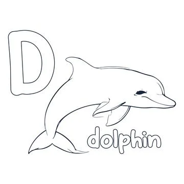Dolphin vector illustration Black and white dolphin alphabet coloring book .. Stock Illustration