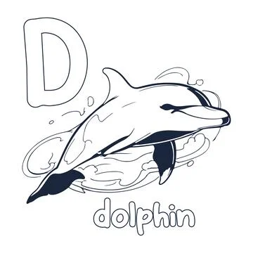 Dolphin vector illustration Black and white dolphin alphabet coloring book .. Stock Illustration