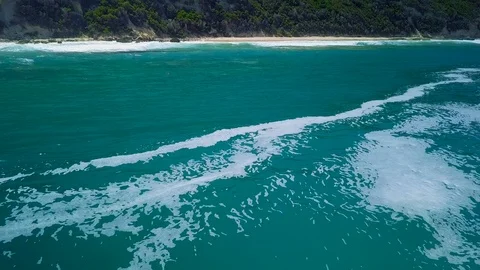 Dolphin Watching Stock Footage 102390714