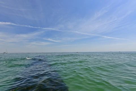 Dolphin is wide enough Foto stock