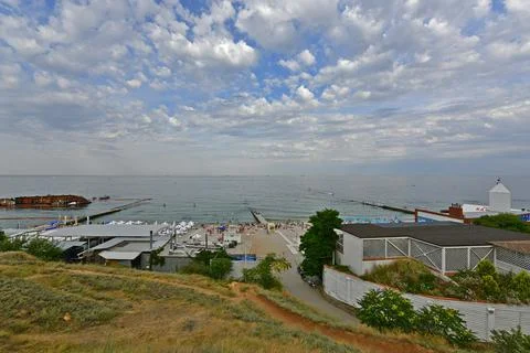 Dolphin is wide enough Stock Photos