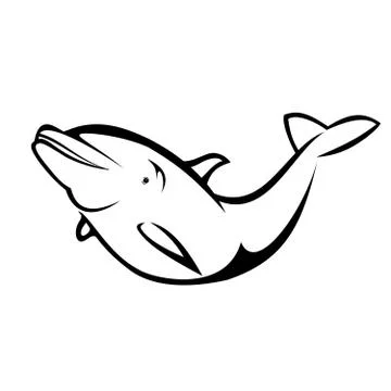 Dolphin1 Stock Illustration