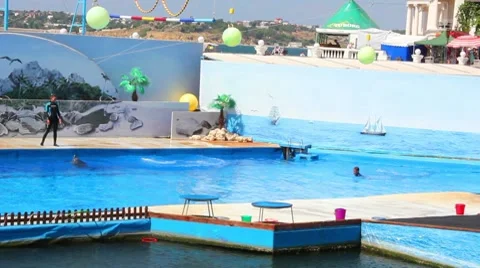 Dolphinarium Stock Footage 8646327
