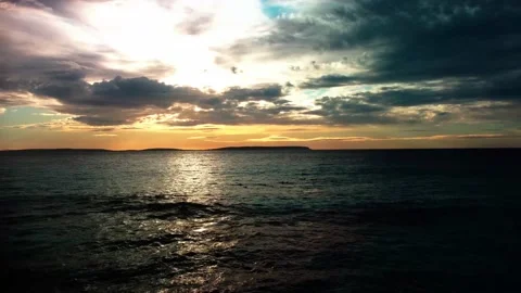 Dolphins 3 Stock Footage 201713163