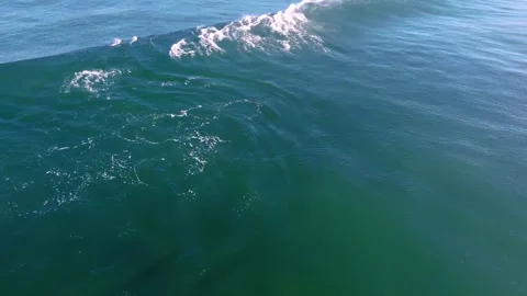 Dolphins 5 Stockbeeldmateriaal 188749008