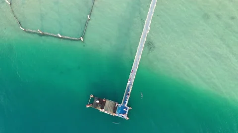 Dolphins at Amity Point jetty, North Stradbroke Island, Queensland. Stock Footage 208842736