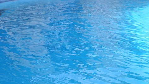 Dolphins are playing in the pool Stock Footage 121372394