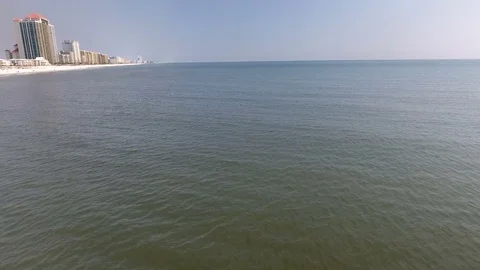 Dolphins beachfront Stock Footage 81668047