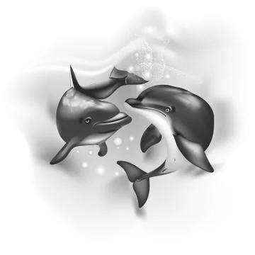 Dolphins black white Stock Illustration