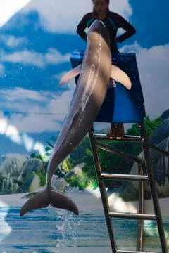 Dolphins in a dolphinarium Stock Photos