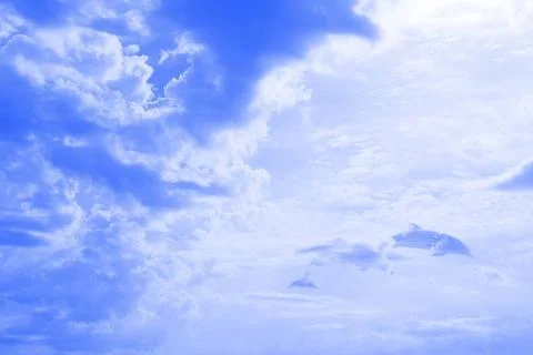 The Dolphins floating in sky The Dolphins floating in sky Copyright: xZoon... Stock Photos