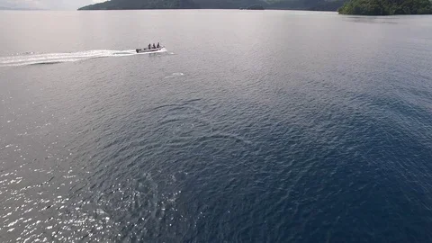Dolphins following a speedboat Stock Footage