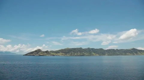 Dolphins Video stock 44917232