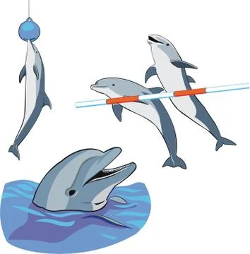 Dolphins Stock Illustration